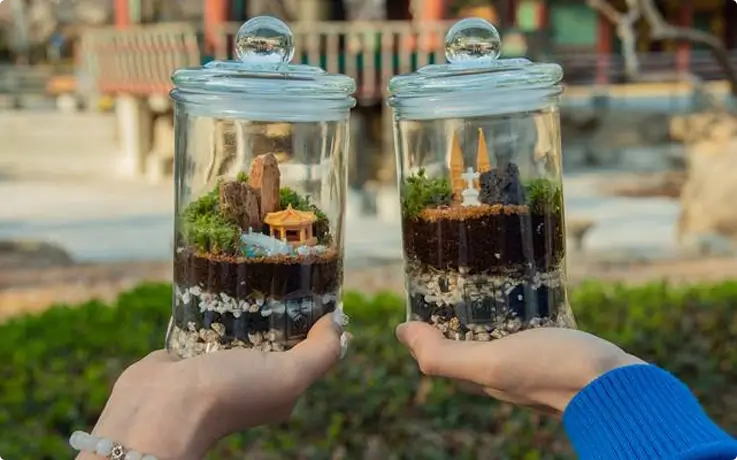 Terrarium made in a workshop in Daegu