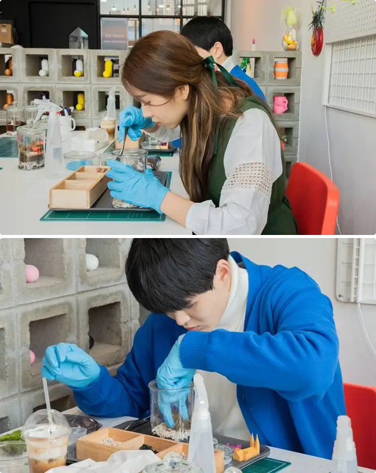 Visitors making a terrarium at a workshop in Daegu