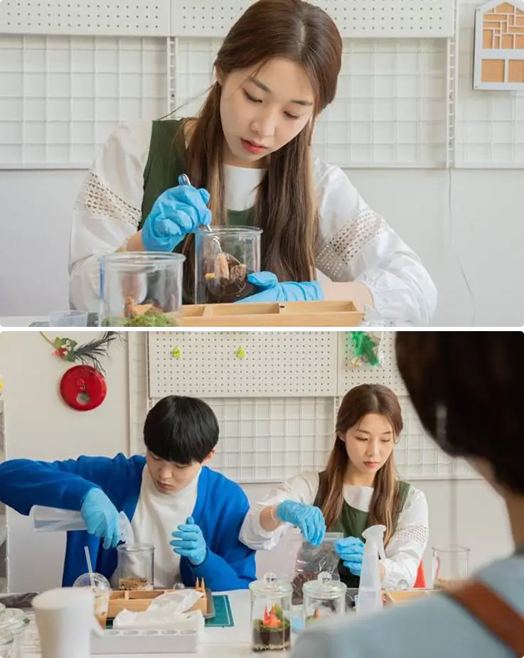 Visitors making a terrarium at a workshop in Daegu