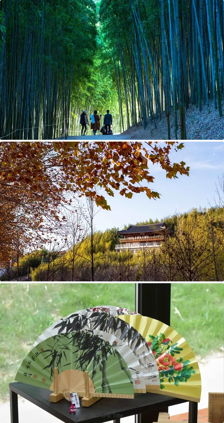 Visitors walking through Juknokwon Bamboo Forest with tall bamboo trees above, a hanok-style building in the middle, and bamboo fan souvenirs displayed below.
