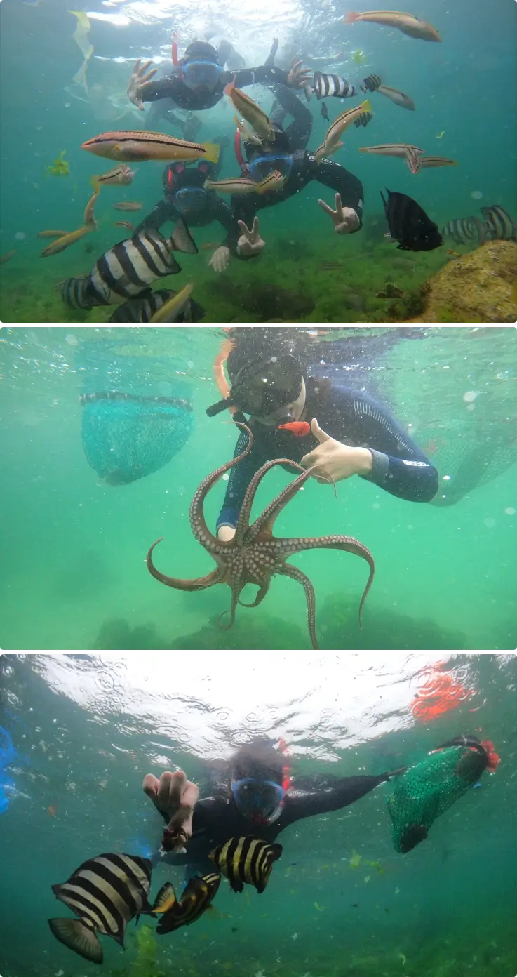 Visitors underwater during haenyeo experience in Jeju