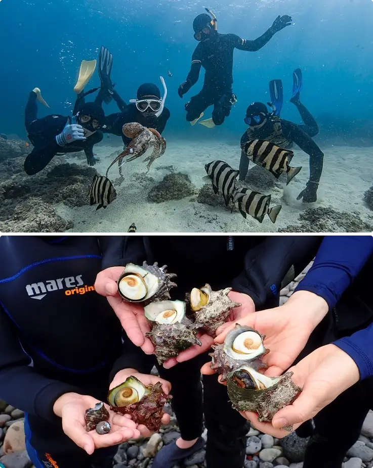 Visitors underwater during haenyeo experience in Jeju