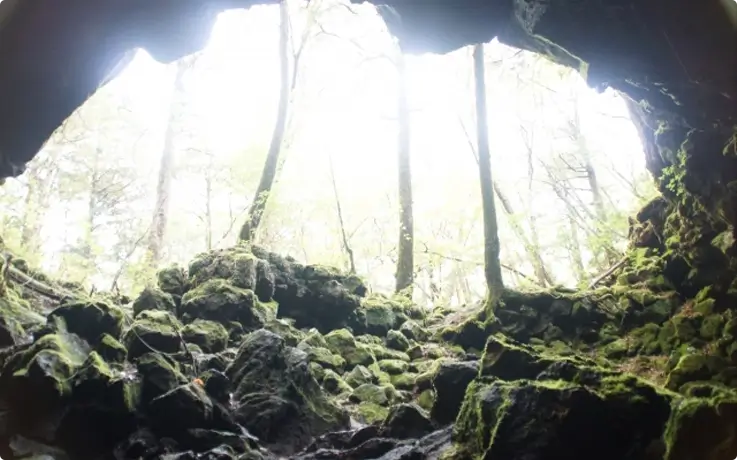 The Dragon Cave