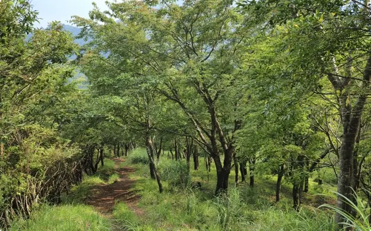 Tokai nature trail