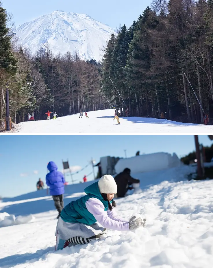 Skiers and snowboarders on the slopes on top and visitors enjoying snow play on the bottom at Fujiten Snow Resort