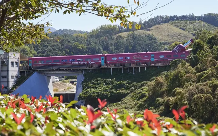 Wine cave at Nakdonggang Rail Park in Gimhae