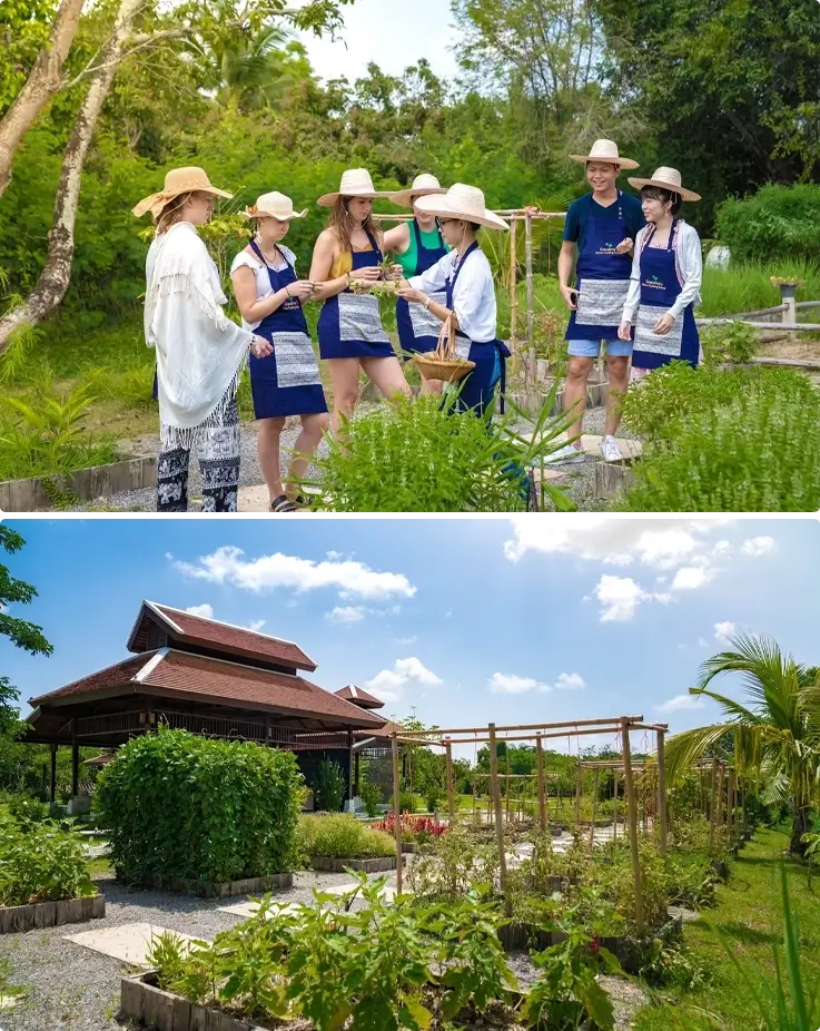 Organic farm by the Grandma’s Cooking School in Chiang Mai