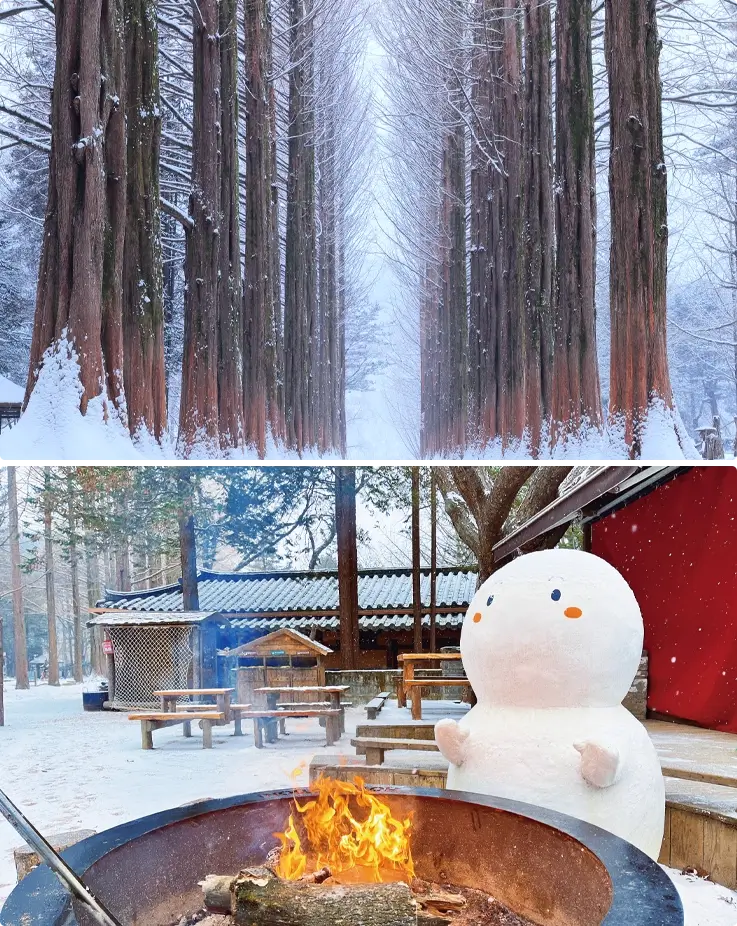 Snow-covered tree-lined paths and open fields in winter at Nami Island.