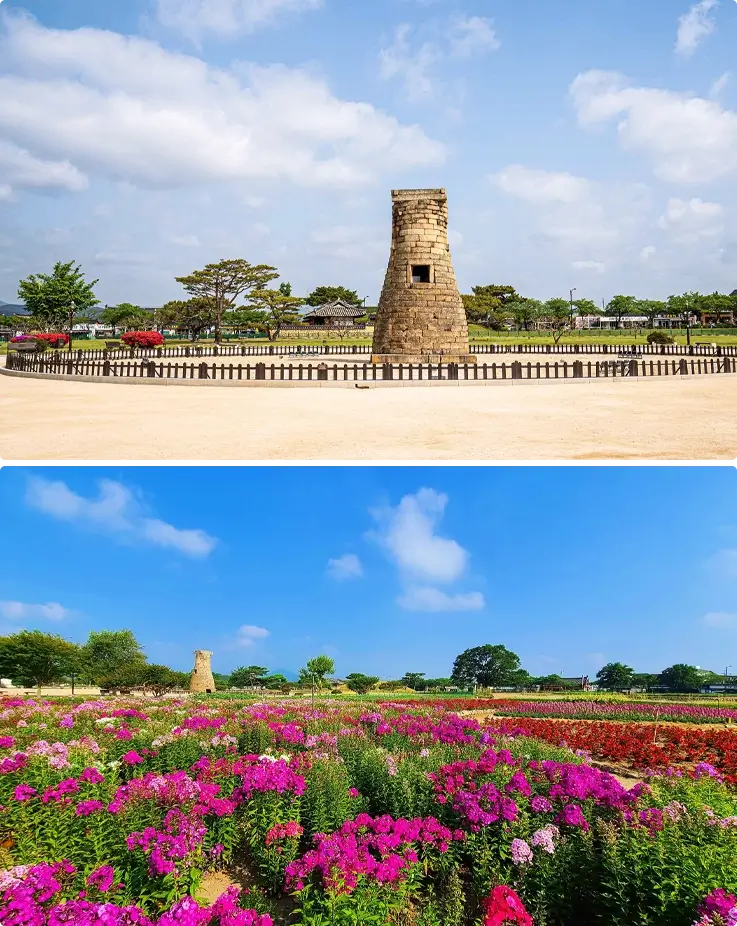 Spring flowers at Cheomseongdae Observatory, Gyeongju in Spring