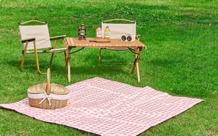 Comfort picnic package