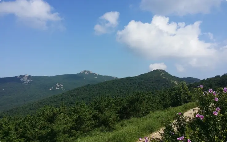 Geumjeongsan Mountain in Busan
