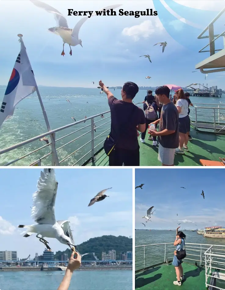 Visitors feeding the seagulls on a ferry ride