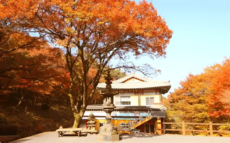 Autumn foliage at Cheon Wang Sa Temple on Jeju Island