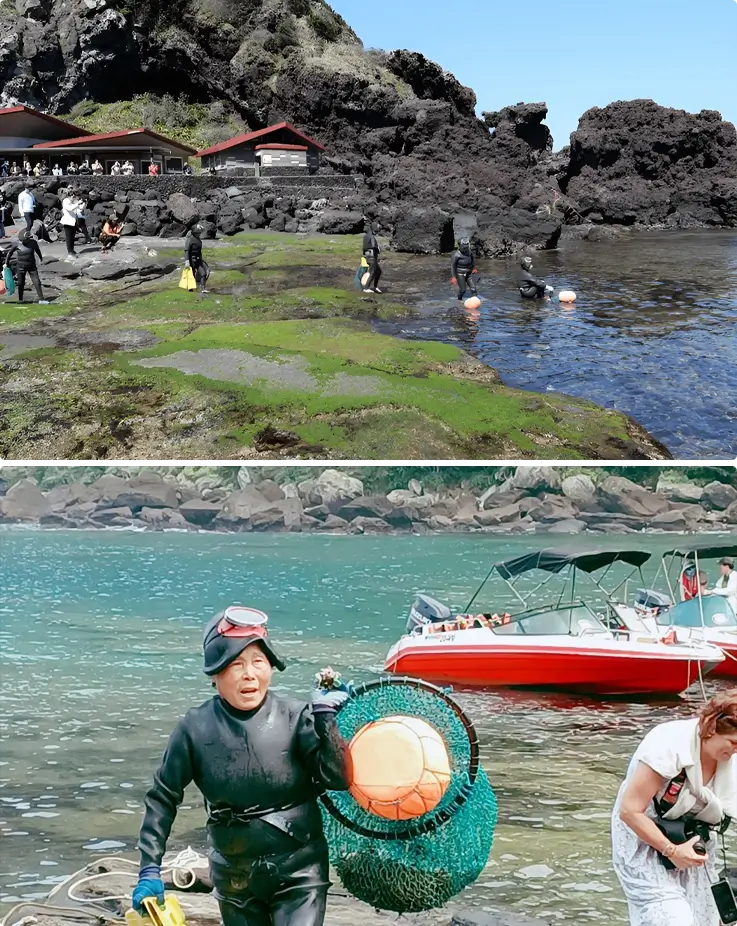 Jeju's female divers at work at Seongsan Ilchulbong on Jeju Island