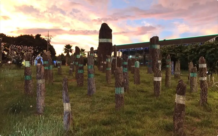 Garden at Jeju Glass Museum