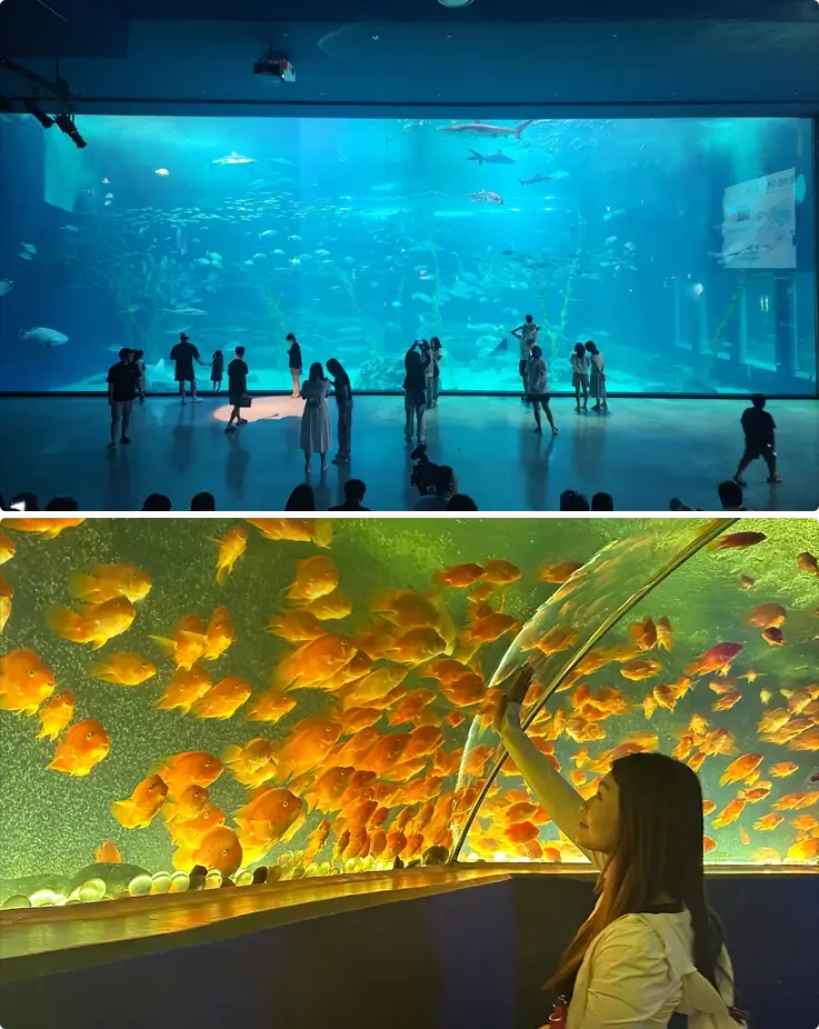 Aqua Planet Jeju