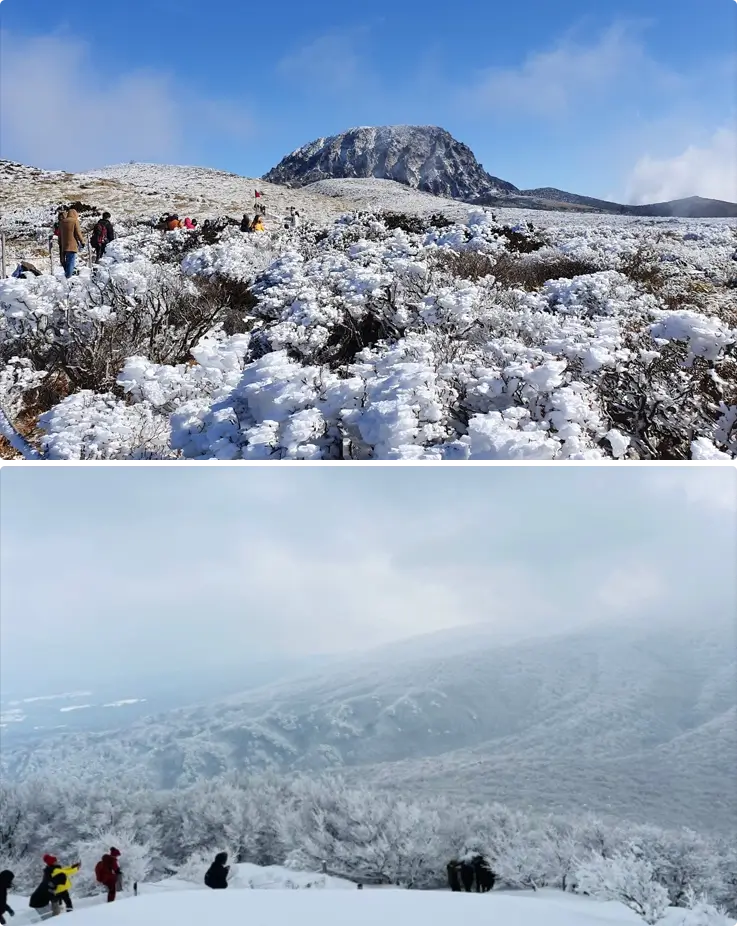 Hallasan Mountain covered in snow on Jeju Island