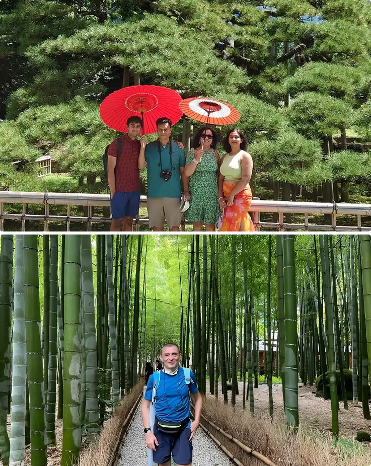 Bamboo grove at Hokokuji Temple in Kamakura