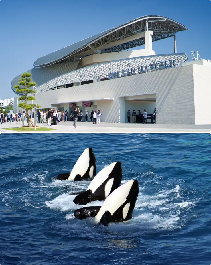 Kobe Suma Seaworld on top, orca show on the bottom