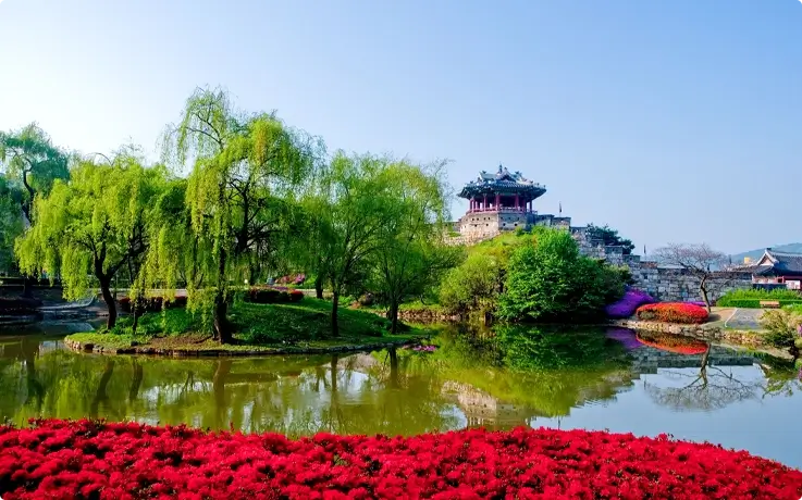 spring flowers at Banghwasuryujeong Pavilion in Suwon