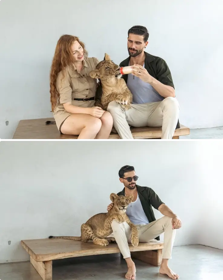 Visitors milk-feeding a baby lion on the top, and a visitor taking a photo with a baby lion on the bottom