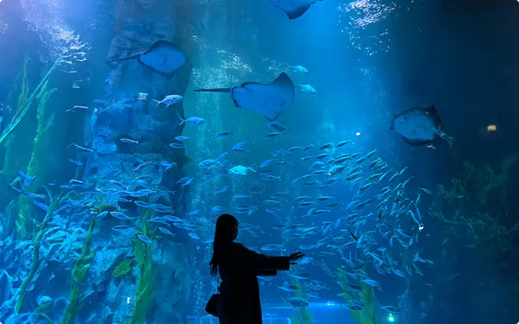 Visitor at Lotte World Aquarium with stingrays swimming in the tank