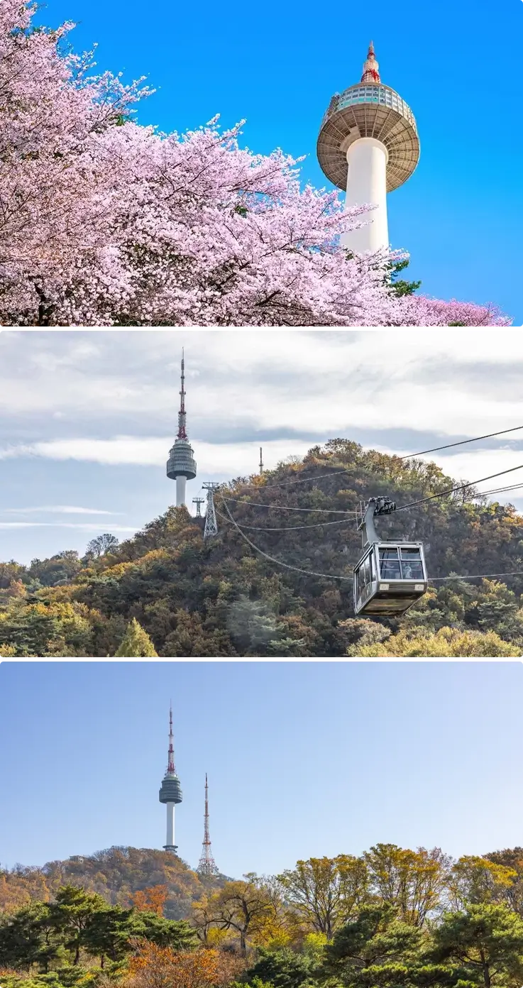 N Seoul Tower with cherry blossoms at the top, the Namsan cable car heading toward N Seoul Tower in the middle, and N Seoul Tower with autumn foliage at the bottom.