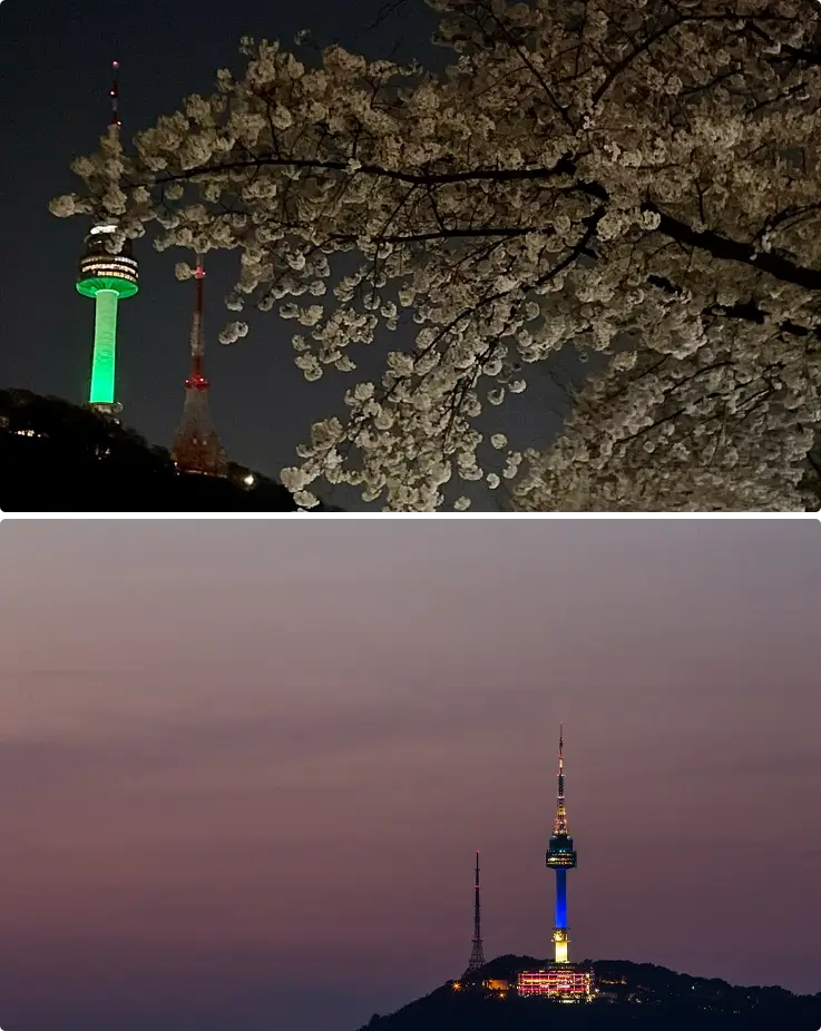 Cherry blossoms at N Seoul Tower at night at the top, and N Seoul Tower at night at the bottom.
