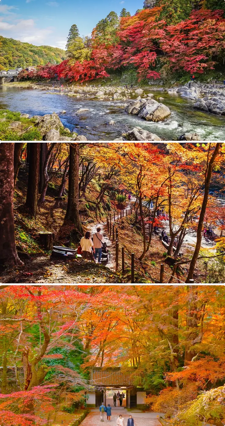 Fall foliage at Korankei Gorge