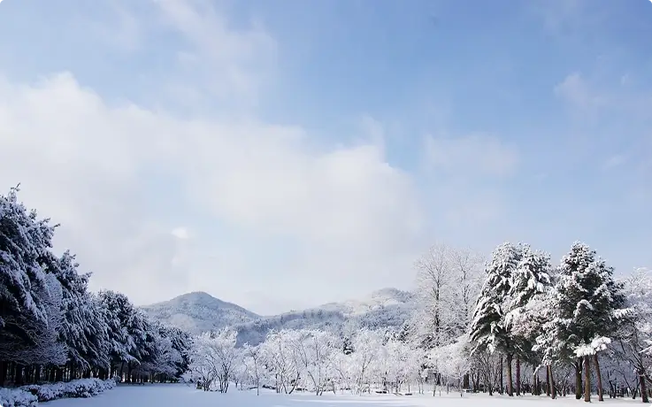 Nami Island covered in snow in winter