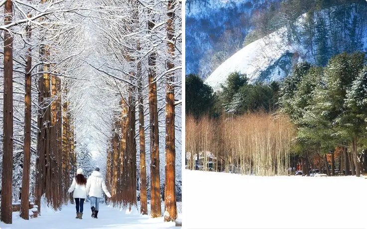 Nami Island covered in snow in winter