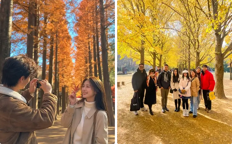 Visitors in Nami Island in fall