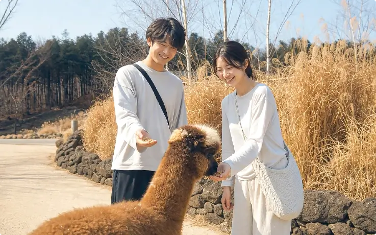 Visitors talking photos at Alpaca Garden in fall