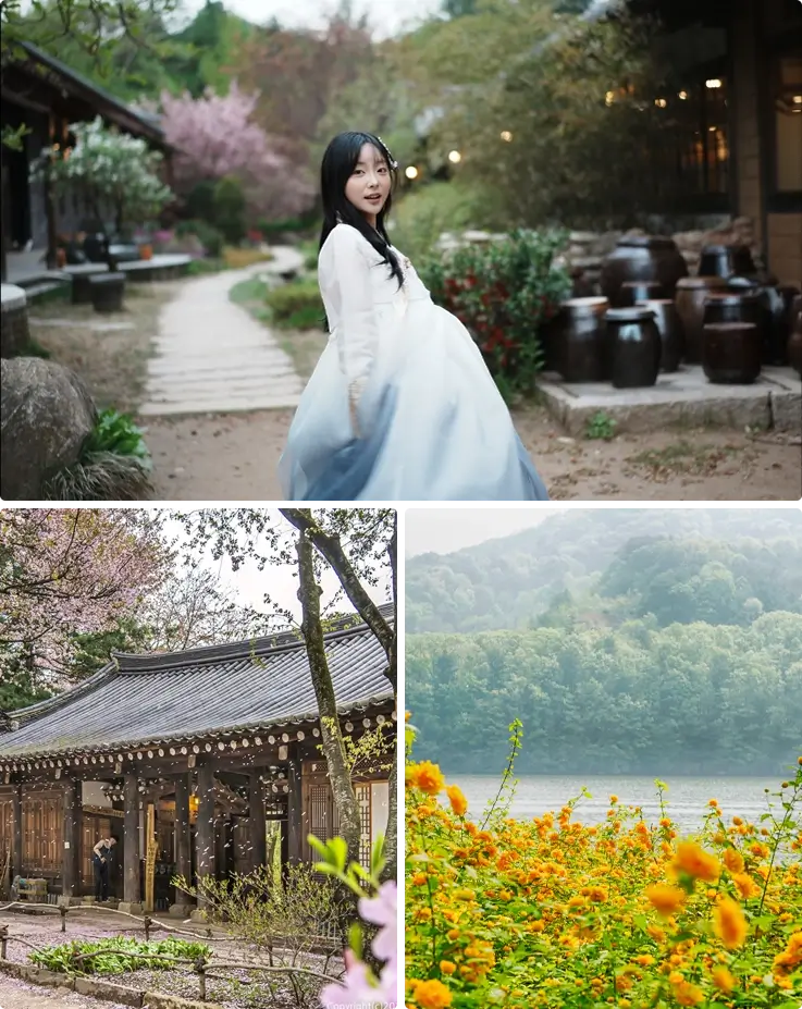 Visitor wearing hanbok at Nami Island on top, spring flowers on the bottom