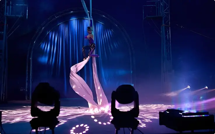 Performers performing at Phuket Circus