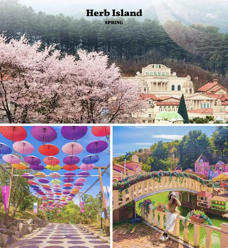 Pocheon Herb Island in spring