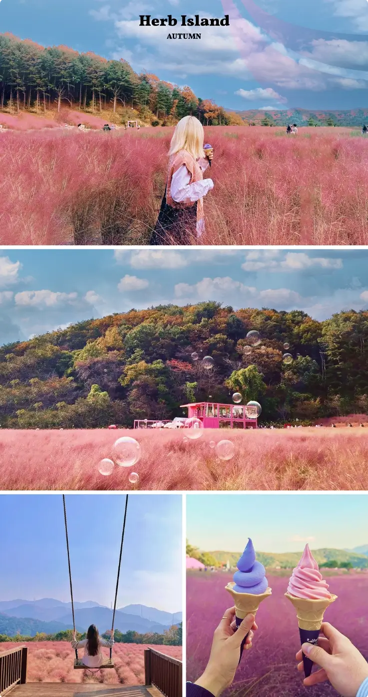 Pocheon Herb Island in autumn