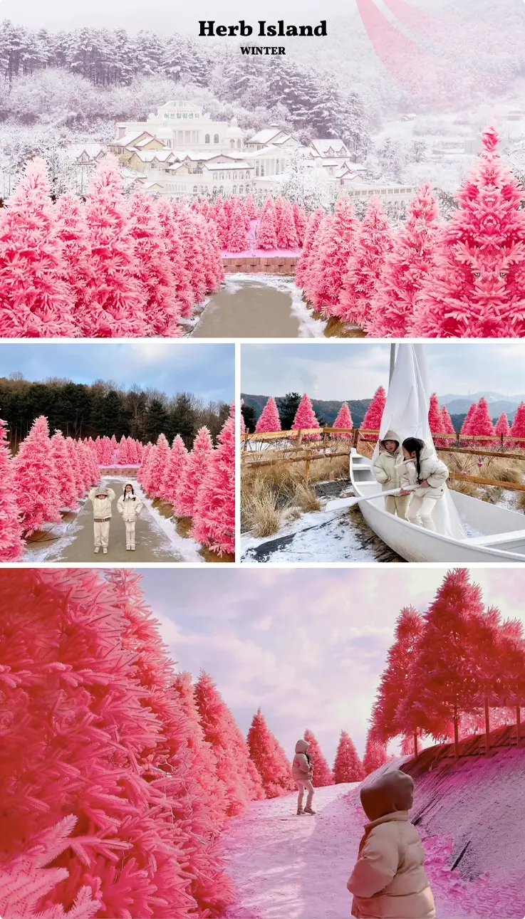 Pocheon Herb Island in winter