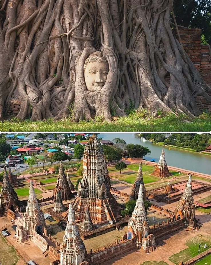 Buddha head in a tree at the top, Wat Mahathat at the bottom
