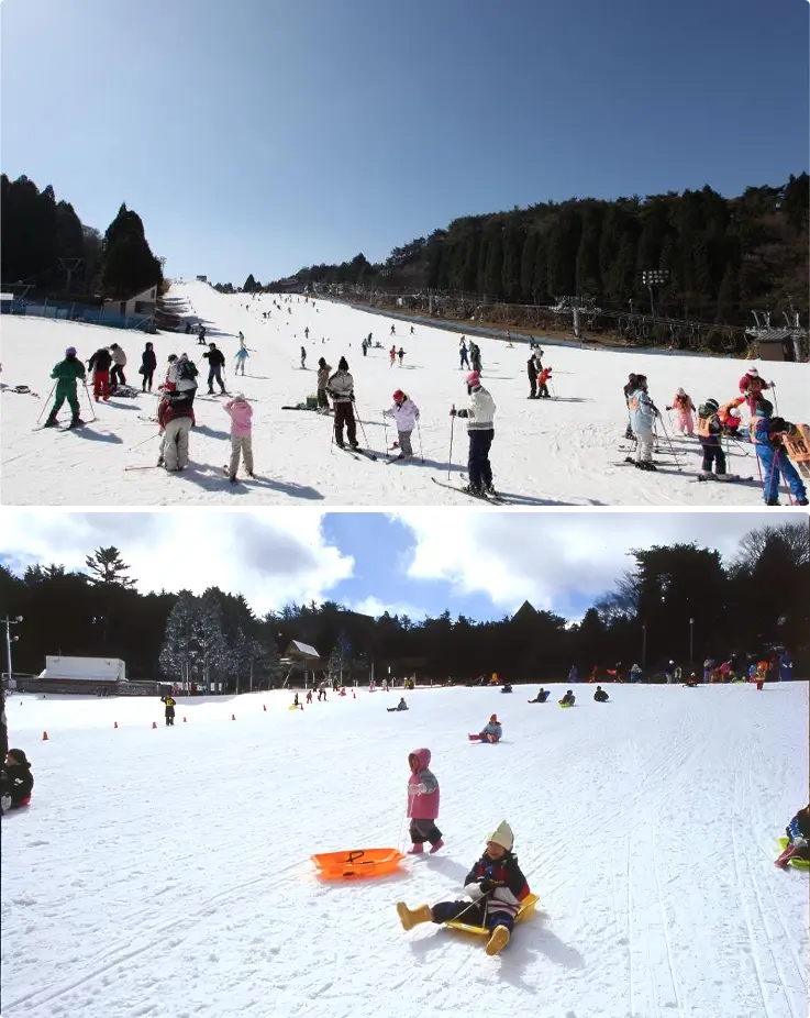 Visitors skiing and sledding at Rokko Snow Park near Osaka