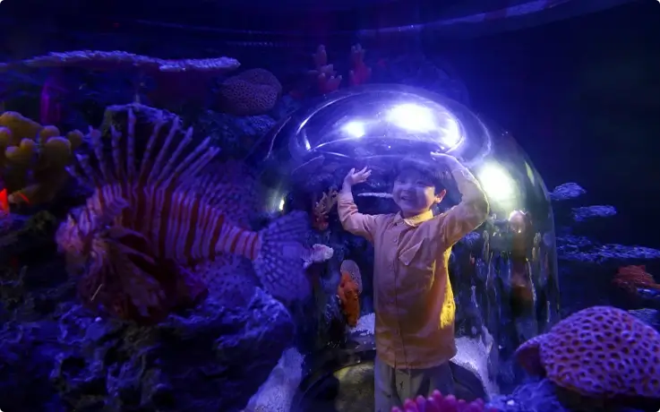 Visitor enjoying the Sea at Night zone at SEA LIFE COEX in Seoul.