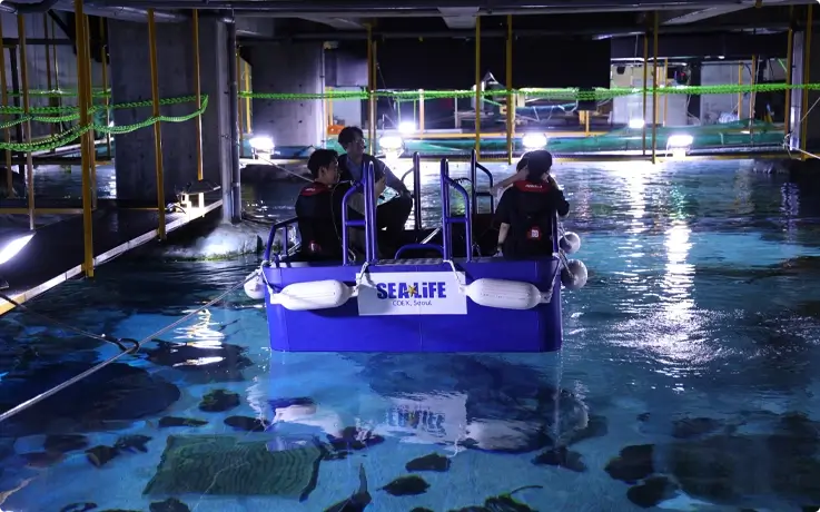 Visitors on a Glass Bottom Boat at SEA LIFE COEX aquarium in Seoul.