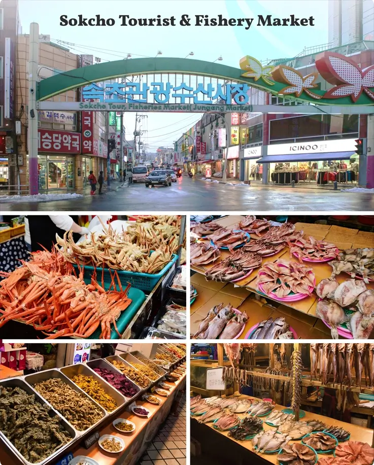 Sokcho Central Market