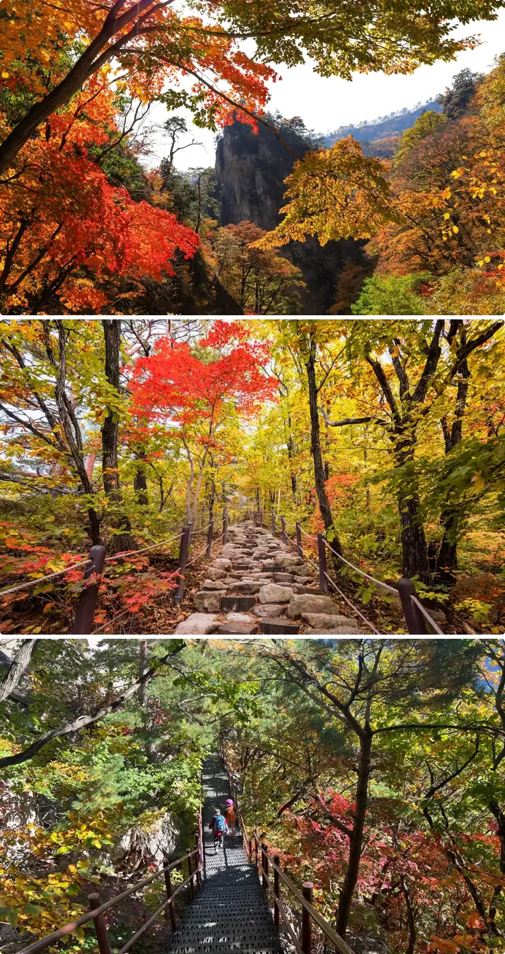 Mt. Seoraksan hiking trails
