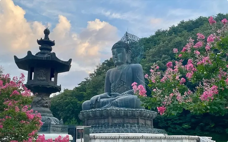 Buddha statue at Sinheungsa Temple in Seoraksan National Park surrounded by spring flowers