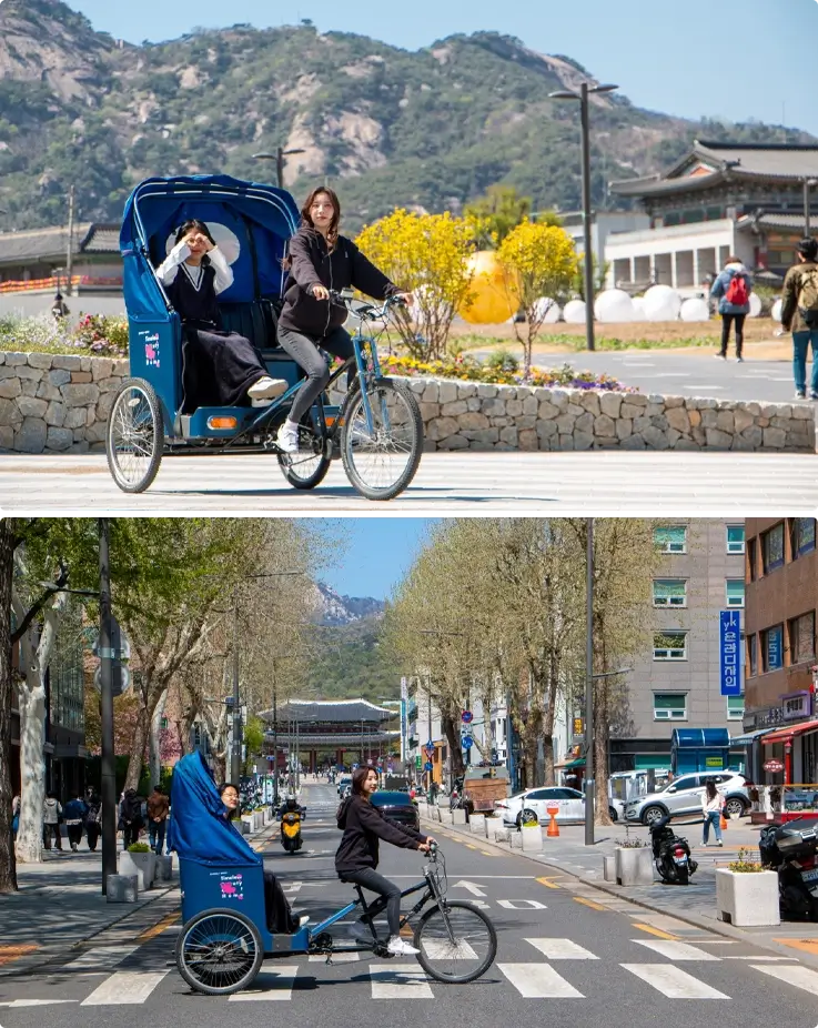 Seoul pedicab tour around Changyeongung Palace area