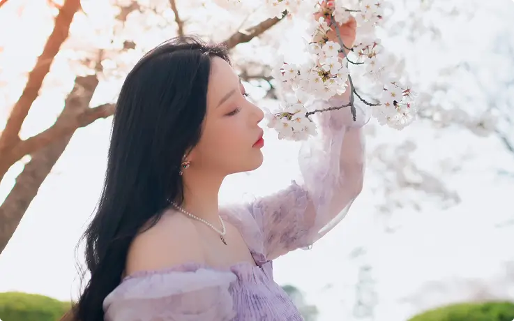 Visitor taking travel photos with cherry blossoms in Seoul