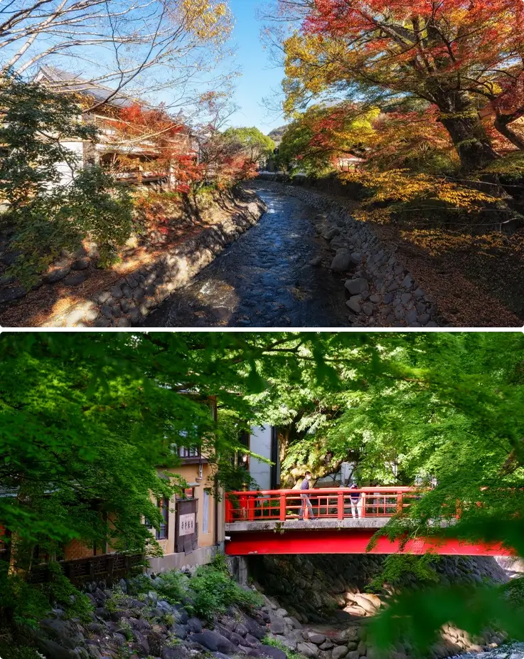 Walkways with autumn foliage and a red bridge at Shuzenji Onsen Village
