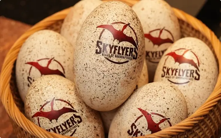 Egg ticket at the Sky Flyers ride in Bangkok