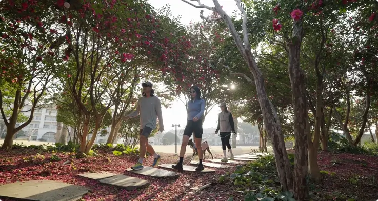 Sono Runtrip in Jeju